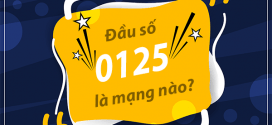 Đầu số 0125 là mạng gì? Đầu số 0125 đổi thành đầu số 10 số nào?