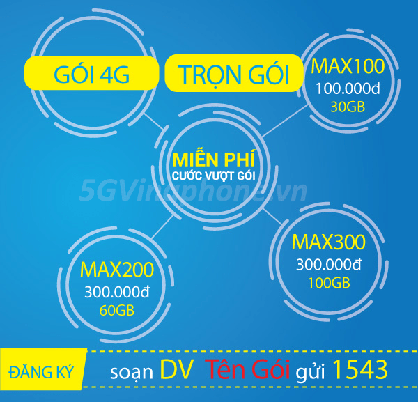 Chỉ 200k/tháng nên DK gói MAX200 Vinaphone hay gói BIG200 Vinaphone?