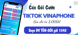 Đăng ký gói cước Tiktok Vinaphone 1 ngày, tuần, tháng chỉ từ 3K