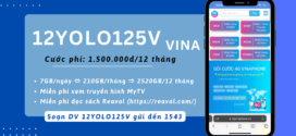 Đăng ký gói 12YOLO125V Vinaphone Free 7GB/ngày (2520GB/12 tháng)