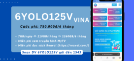 Đăng ký gói 6YOLO125V Vinaphone nhận 7GB/ngày, xem MY TV thả ga