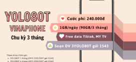 Đăng ký gói cước 3YOLO80T Vinaphone miễn phí 1GB/ngày, Free Tiktok/MY TV