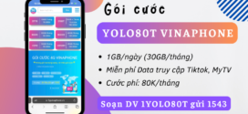 Đăng ký gói YOLO80T Vinaphone có 30GB/tháng, Miễn Phí Data Tiktok, MY TV