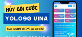 Cách hủy gói cước YOLO90 Vinaphone nhanh chóng và miễn phí